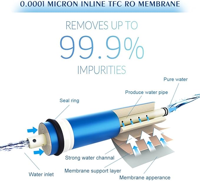 FS-TFC 5-Stage Reverse Osmosis Water Filtration System 100GPD Fast Flow Plus Extra 4 Filter for Free (FS-RO-100G-A)