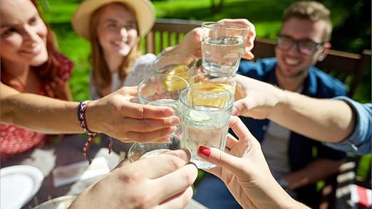 Doulton W9123053 9501 10" UltraCarb NSF Certified BSP Thread Ceramic Filter Candle Element Cartridge - 2 Pack