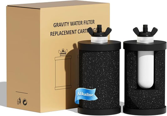 Purewell PF-1-PH Upgraded 4-Stage Composite Carbon and Alkaline Filters, Compatible with Berkey® Big+, ProOne® Big+ Gravity Water Filter Systems and Purewell Systems, pH 8-9 (2 Pack, K Series)