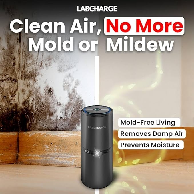 Small Ionic Air Purifier for Home & Bedroom – Silent HEPA Filter – Covers 250 Sq Ft - Free Cleaner for Pets, Hair, Smoke, Dust, Odors & Dander – Compact & Black Design - Pack of 4