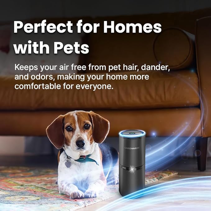 Small Ionic Air Purifier for Home & Bedroom – Silent HEPA Filter – Covers 250 Sq Ft - Free Cleaner for Pets, Hair, Smoke, Dust, Odors & Dander – Compact & Black Design - Pack of 3