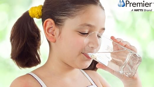 Watts Premier Pure H2O Single Stage 15" High Capacity Carbon Block Water Filter Replacement Cartridge for Under Counter Filtration System, Flow Rate 1.5 GPM, Removes Sediment, Improves Taste