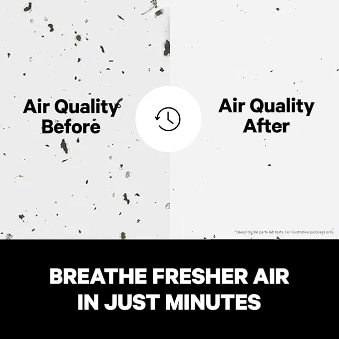 PuroAir 240 Replacement Filter - HEPA Filters up to 99.9% of Smoke, Pollen, Dust and Common Household Pollutants - HEPA Air Filter Replacement for PuroAir 240 Air Purifier (4 Pack)