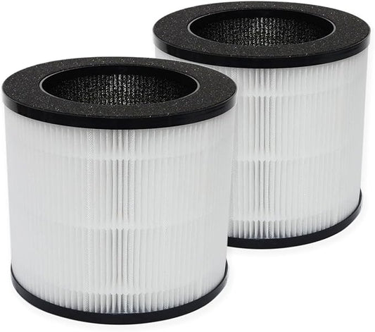 PUREBURG Replacement True HEPA Filters Compatible with Ganiza A10 Air Purifier,2-Pack H13 4-Stage Filtration Activated Carbon 2-in-1