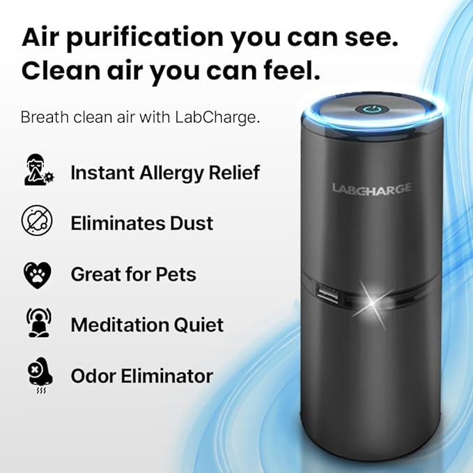 LabCharge Small Ionic Air Purifier for Home & Bedroom – Silent HEPA Filter – Covers 250 Sq Ft - Free Cleaner for Pets, Hair, Smoke, Dust, Odors & Dander – Compact & Black Design - Pack of 5
