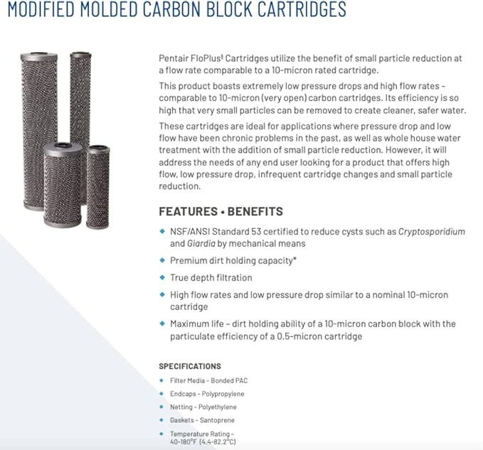 Pentair Pentek FloPlus-20BB Big Blue Carbon Water Filter, 20-Inch, Whole House Modified Molded Carbon Block Replacement Cartridge, 20" x 4.5", 0.5 Micron