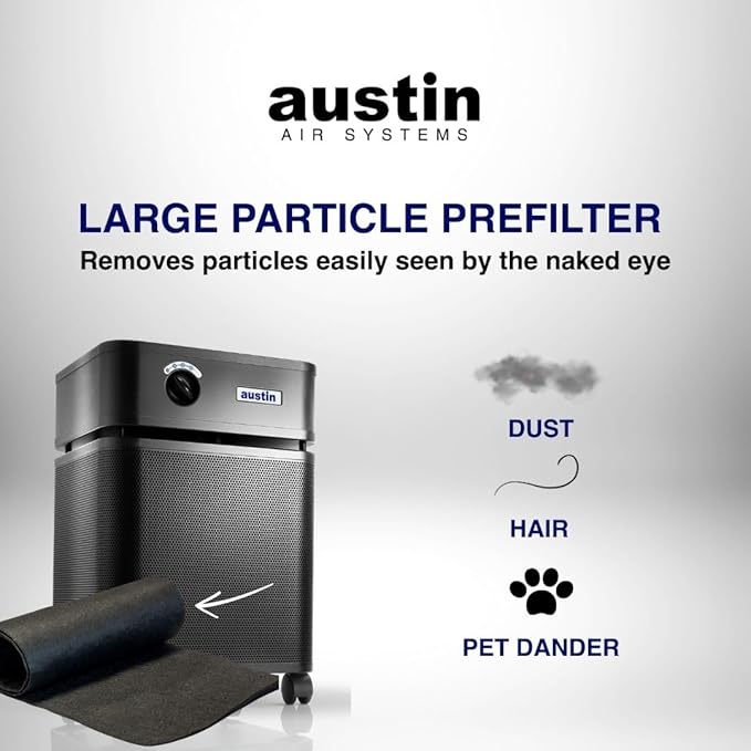 Austin Air Healthmate Junior Replacement Filter, Black – Zeolite, Air Filters for Home, and Carbon Filter Replacement for Superior Air Quality, Model FR200