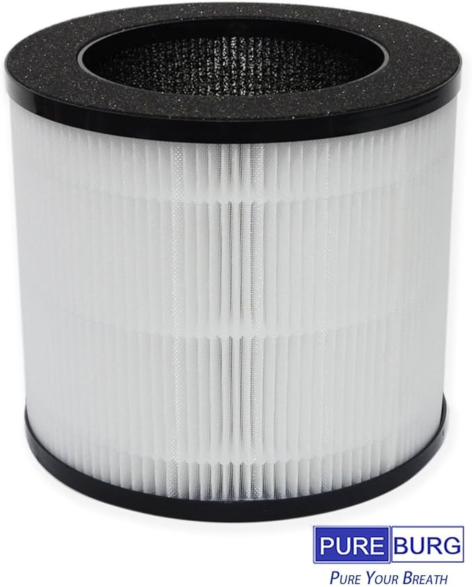PUREBURG Replacement True HEPA Filters Compatible with Ganiza A10 Air Purifier,2-Pack H13 4-Stage Filtration Activated Carbon 2-in-1