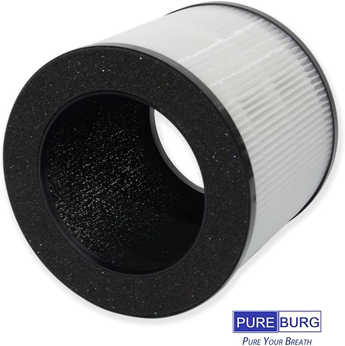 PUREBURG Replacement True HEPA Filters Compatible with Ganiza A10 Air Purifier,2-Pack H13 4-Stage Filtration Activated Carbon 2-in-1