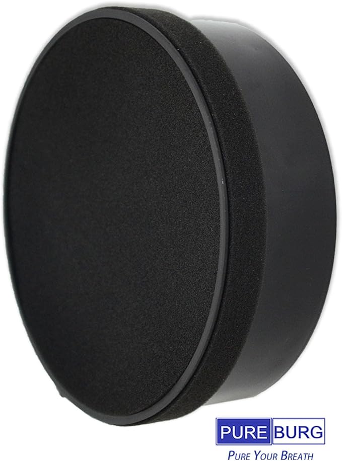 PUREBURG Replacement Filter Set Compatible with hOmeLabs HME020248N Air Purifier,2-Pack H13 HEPA Activated Carbon Pre-Filters Air Clean VOCs Odor