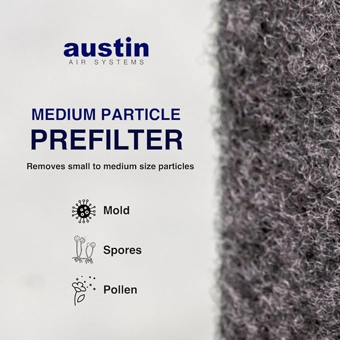 Austin Air Healthmate Junior Replacement Filter, White – Zeolite, Air Filters for Home, and Carbon Filter Replacement for Superior Air Quality, Model FR200