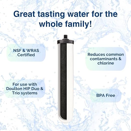 Doulton W9123053 9501 10" UltraCarb NSF Certified BSP Thread Ceramic Filter Candle Element Cartridge - 2 Pack