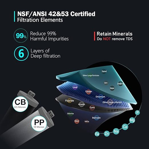 Frizzlife DW10F Under Sink Water Filter System with Brushed Nickel Faucet, NSF/ANSI 53&42 Certified Elements, Reduces 99.99% Lead, Chlorine, Fluoride, Bad Taste & Odor, 0.5 Micron, USA Tech Support