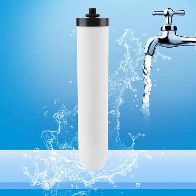 Ceramic Water Filter Element, with 1/4in Water Outlet Filtration System Purify Replacement Part Water Filters Candle Cartridge and Replacement House Dome Ceramic Filtration for Kitchen