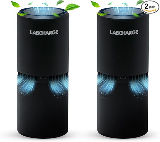 LabCharge Small Ionic Air Purifier for Home & Bedroom – Silent HEPA Filter – Covers 250 Sq Ft - Free Cleaner for Pets, Hair, Smoke, Dust, Odors & Dander – Compact & Black Design - Pack of 2