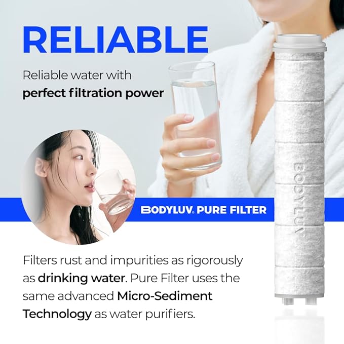 BODYLUV - Puresome Shower Head (Ver.1), Strong Water Pressure Water Saving Vitamin Filter For Bathroom (Handheld Shower Head ONLY, Vita Milk Filter NOT INCLUDED)