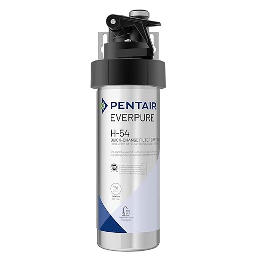 Pentair Everpure H-54 Drinking Water System, EV925267, NSF Certified to Reduce Lead, Includes Filter Head, Filter Cartridge, All Hardware and Connectors, 750 Gallon Capacity, 0.5 Micron