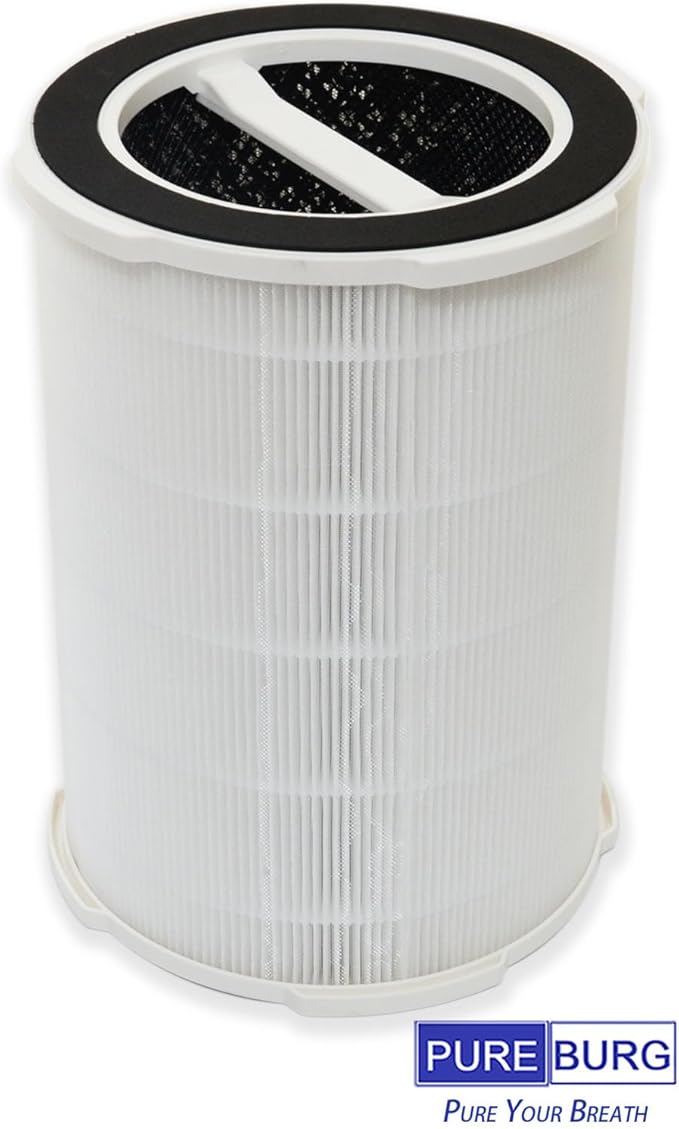 PUREBURG Replacement Filter Compatible with Ganiza G200S G200 Air Purifiers,2-Pack H13 HEPA 4-Stage Filtration Activated Carbon Air Clean Dust