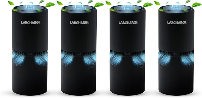 Small Ionic Air Purifier for Home & Bedroom – Silent HEPA Filter – Covers 250 Sq Ft - Free Cleaner for Pets, Hair, Smoke, Dust, Odors & Dander – Compact & Black Design - Pack of 4