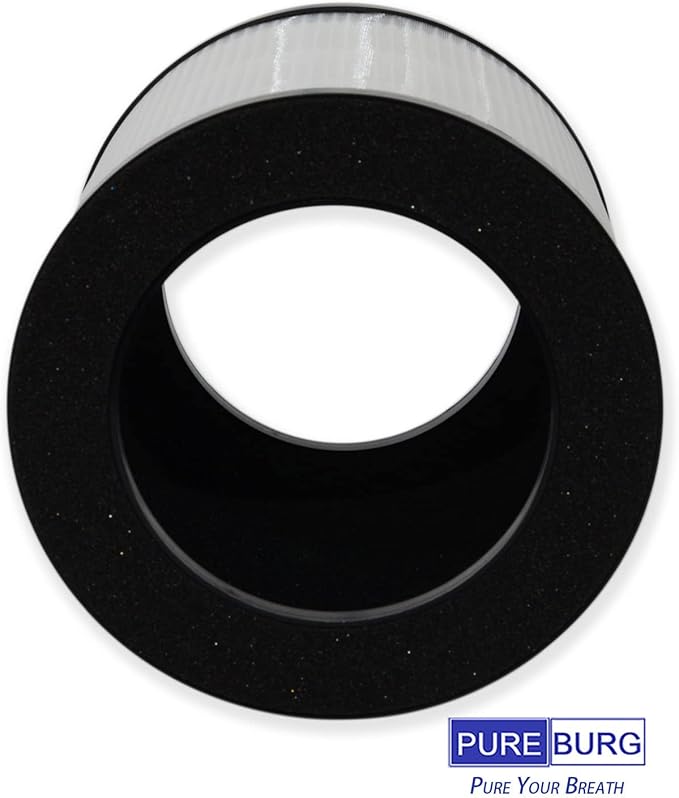 PUREBURG Replacement True HEPA Filters Compatible with Ganiza A10 Air Purifier,2-Pack H13 4-Stage Filtration Activated Carbon 2-in-1