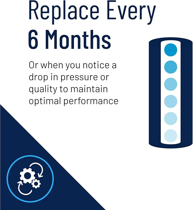 Pentair Pentek EPM-BB Big Blue Carbon Water Filter, 10-Inch, Whole House Modified Epsilon Carbon Block Replacement Cartridge with Bonded Powdered Activated Carbon (PAC) Filter, 10" x 4.5", 10 Micron