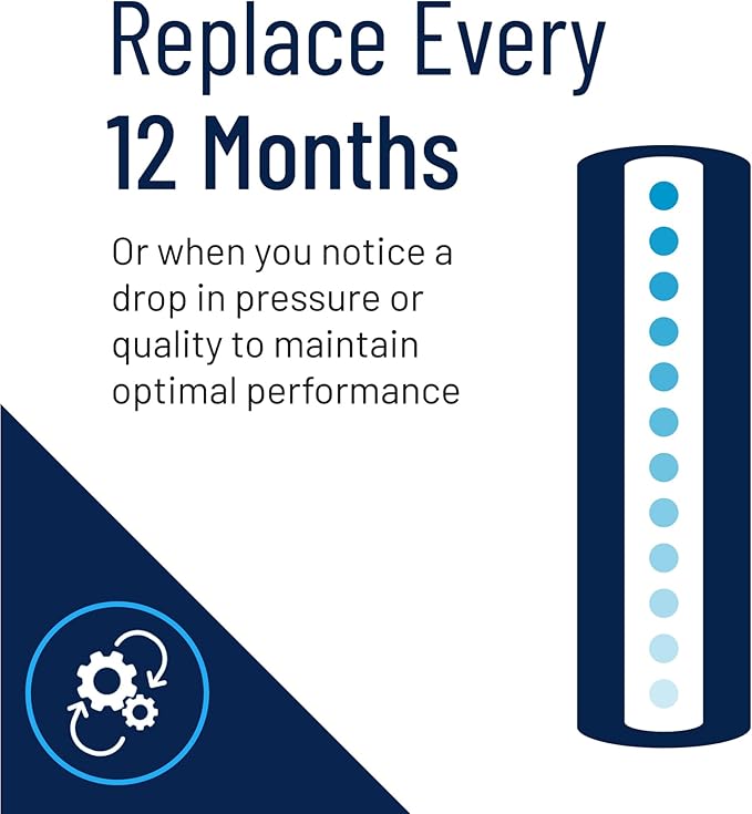 Pentair Pentek DGD-2501-20 Big Blue Water Filter, 20-Inch Whole House Sediment Filter Cartridge Replacement, Dual-Gradient Density Spun Polypropylene, 20" x 4.5", 1 Micron, Pack of 6, White
