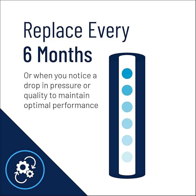 Pentair Pentek NCP-20 Carbon Water Filter, 20-Inch, Whole House Non-Cellulose Carbon Impregnated Pleated Filter Cartridge, 20" x 2.5", 10 Micron