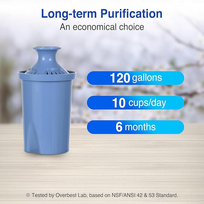 10-Cup Water Filter Pitcher & 2 Extended Life Water Filters (Removes Lead - 6 Months Per Filter) & Electronic Replacement Reminder - Compatible with Brita Water Pitcher/Brita Filter Pitcher
