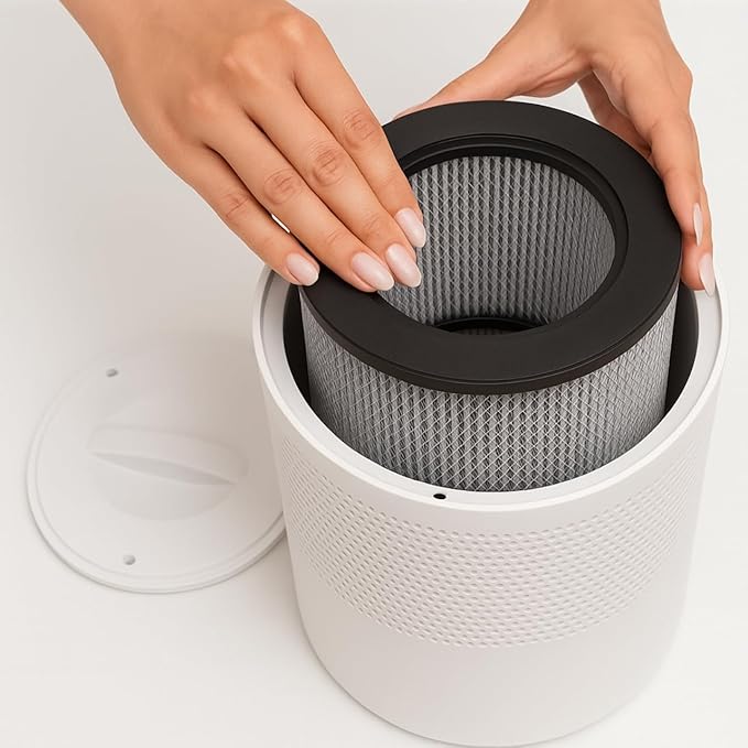 Nispira 3-in-1 True HEPA Activated Carbon Filter Replacement For Bissell MYair Personal Air Purifier 2780A 2780 27809, Compared to Part 2801. Size 7" x 7" x 6.1". 2 Packs (NOT FOR MODEL 3139A, 3069)