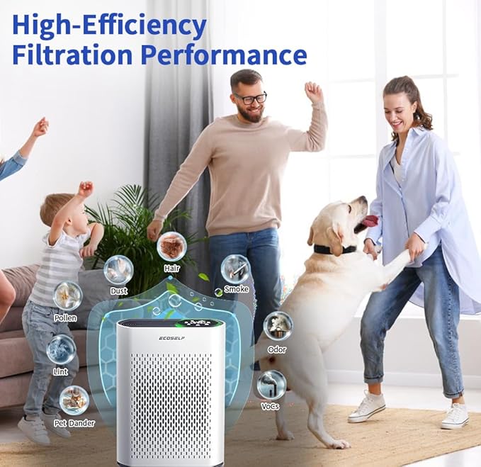 2 Pack HAP602 Replacement Filter Compatible with ECOSELF HAP602 / HAP602WF Air Purifier, Air Purifiers Replacement Filter for Home Large Room