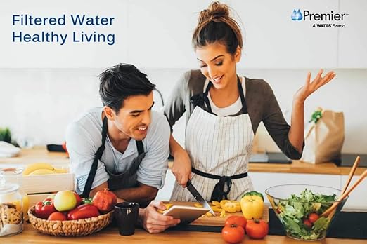 Watts Premier White Whole House Water Filtration Kit with Built-in Bypass Valve, Filter Housing, Three 50-Micron Sediment Filters, Mounting Bracket, Wrench