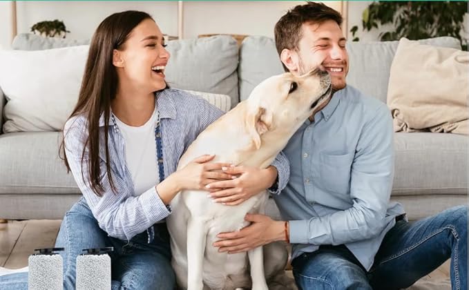 3831 Roller Brush & Filter Replacement Kit Compatible for Bissell Crosswave Hard Floor Expert Vacuum 3831 & HF2 3845N 3845 3847 3848(2 Brush Rolls + 2 Filter) Fit Bissell No. B0555,1637755,1632973