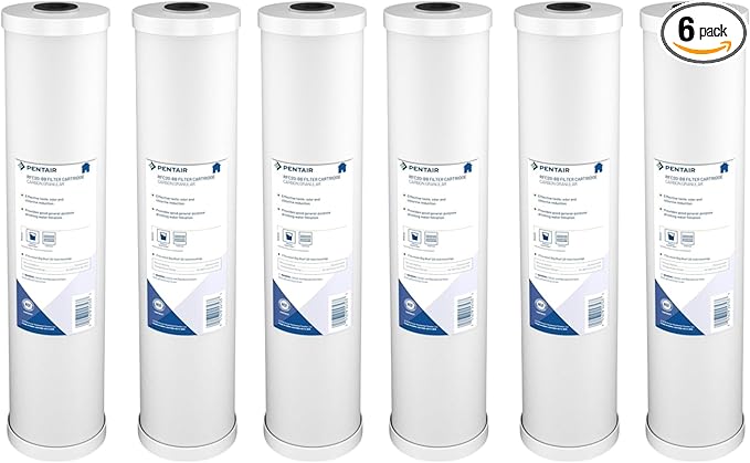 Pentair Pentek RFC-20BB Big Blue Carbon Water Filter, Whole House Heavy Duty Radial Flow Carbon Replacement Cartridge with Granular Carbon (GAC) Filter, 20" x 4.5", 25 Micron, Pack of 6, White