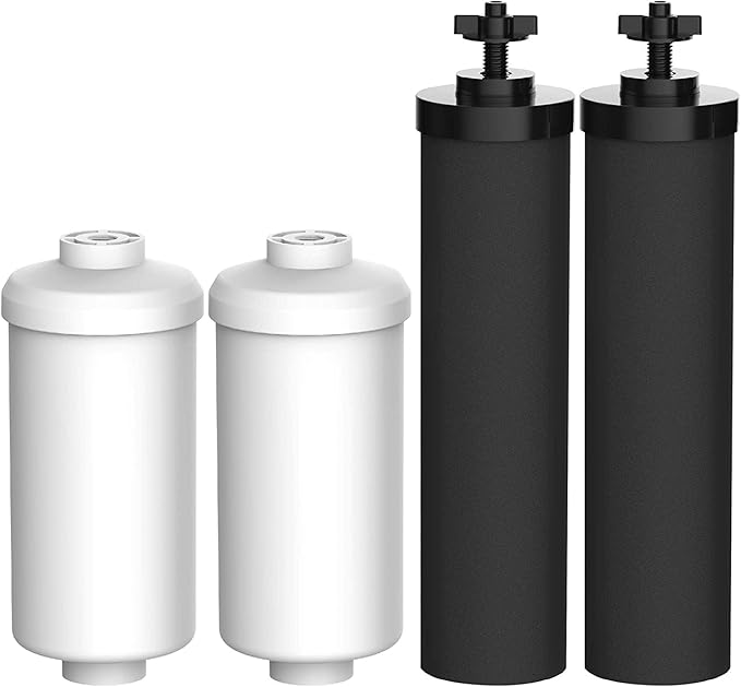 Water Filter, Replacement for Black Filters (BB9-2) & Fluoride Filters (PF-2) Combo Pack and Gravity Filter System - Includes 2 Black Filters and 2 Fluoride Filters (4)