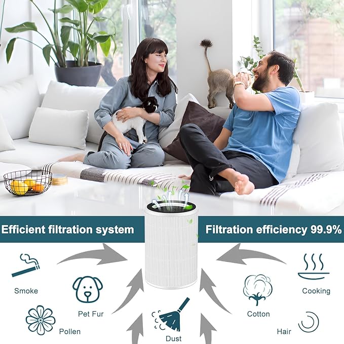 2Pcs Replacement Filter Compatible With ECOSELF HAP604 Air Purifiers, 3-In-1 Air Filter, H13 Efficiency Activated Carbon Filtration Hepa,