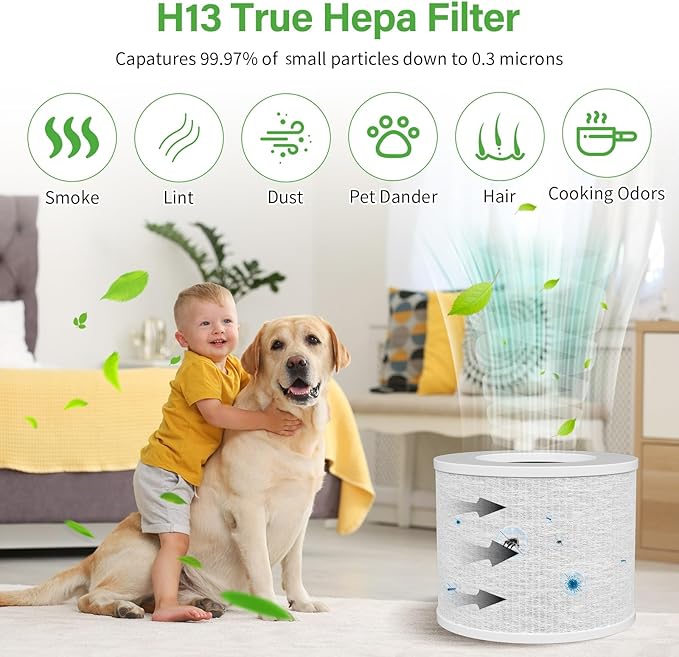 Core Mini Replacement Filter for LEVOIT Air Purifier, 3-Stage H13 HEPA Filters Compatible with LEVOIT Core Mini, High-Efficiency Activated Carbon, Core Mini-RF 4 Pack