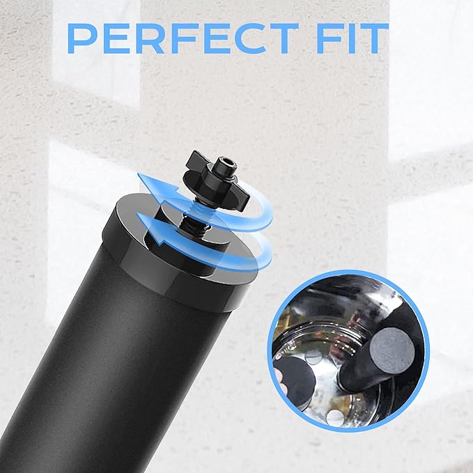 2387 Pro Filter, NSF/ANSI 42 Certified for Alexapure Water Filter Replacement, 5000 Gallon Water Filter Compatible with Alexapure Water Filtration System, 1 Pack