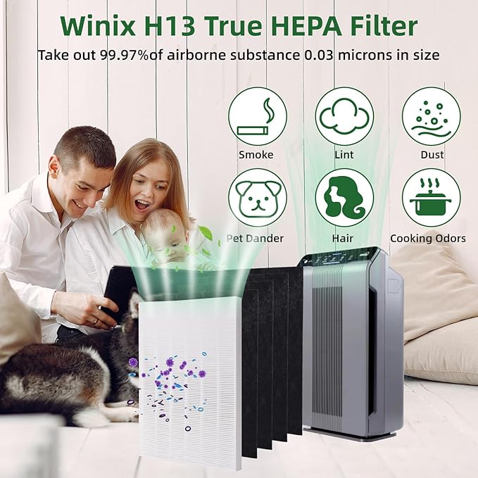 115115 Replacement Filters A Size 21, Compatible for Winix PlasmaWave 5300-2, C535, 6300, 5300, 6300-2, P300, AM90, 9000, 5000, 5000B, C909, 9800, 1 True HEPA Filter + 4 Carbon Pre-Filters
