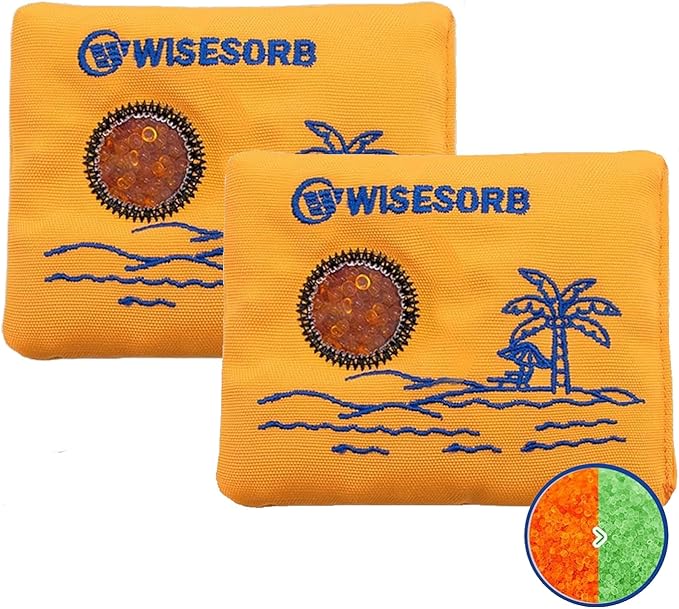 100gx2pcs Rechargeable Desiccant Packs for Storage, Color Indicating Silica Gel Packets Moisture Absorbers with Visible Window, Reusable Dehumidifier Bags for 3D Filaments Electronics Camera