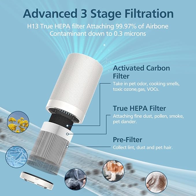 JF100 Replacement Filter Compatible with JF100 Air Purifier, 3-in-1 True HEPA and Activated Carbon Filters, 2 Pack