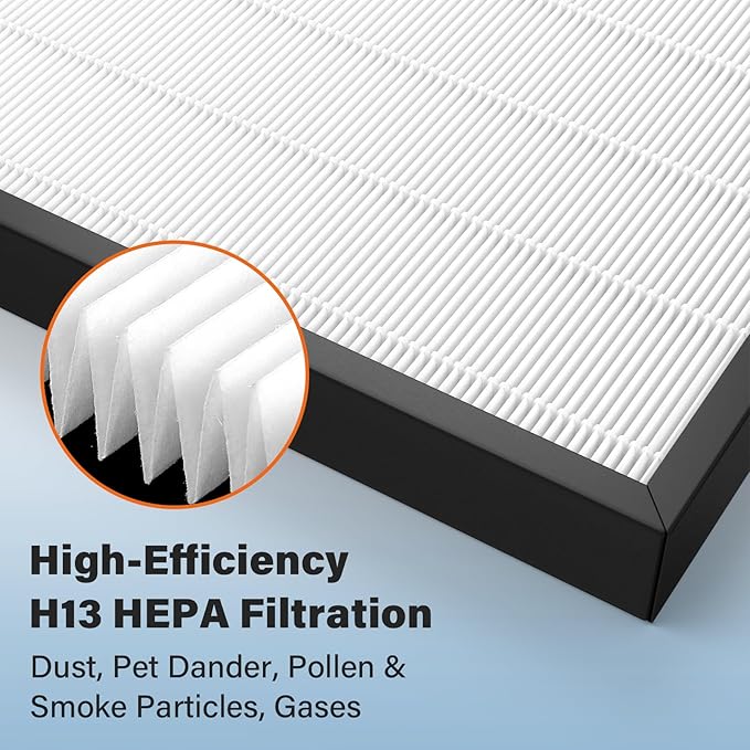 Air400 Filter Replacement for Bissell Air400, 2 True HEPA and 2 Carbon Filter with 8 Pre-Filter, Compared to Part #2521,2520,3365