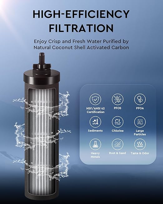 2.25 Gal Gravity Fed Water Filter System - Countertop Stainless Steel Countertop Water Filtration System, Gravity Water Purifier with 2 Carbon Filters NSF/ANSI 42 Certification