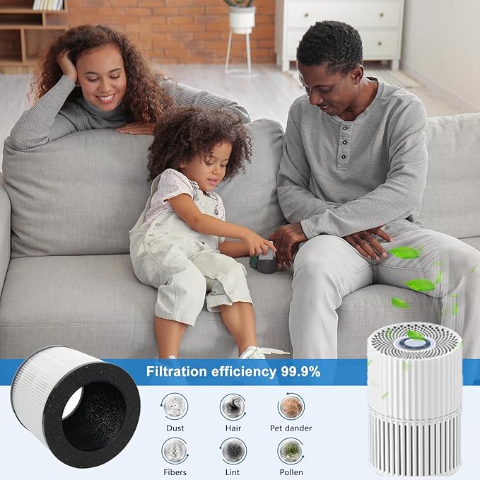 Replacement Air Filter A10 Compatible With GANIZA A10 AIR Purifier,H13 True HEPA Activated Carbon Filter(2-Pack)