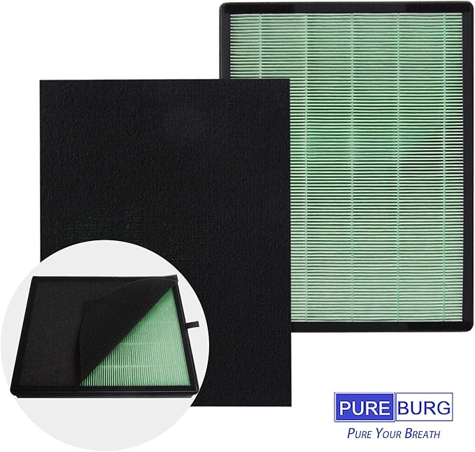 PUREBURG Replacement Filter Set Compatible with Coway Airmega 150 (AP-1019C) & Airmega 160 Air Purifiers, 2-Pack H13 HEPA + 8 x Activated Carbon Pre-Filter Air Clean