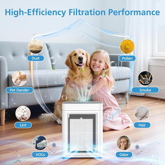 2 Pack K2 Replacement Filter Compatible with LUNINO K2 &TER Air MK-AP01 Air Purifier, 3-Stage Double-sided HEPA Filters & 2 Washable Carbon Pre-filters