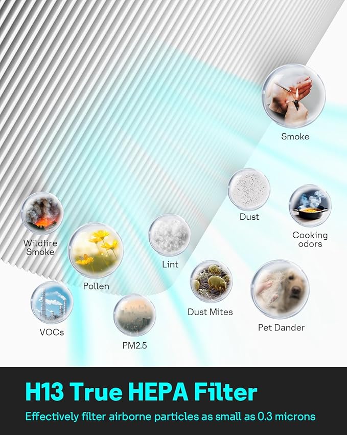 Leemone HP152 Replacement Filter Compatible with Shark Air Purifier HP150, HP151, HP152, HP155, UA155, HP152C, HE15FKPET, NeverChange True HEPA with Pet Particle Barrier, 2 Pack