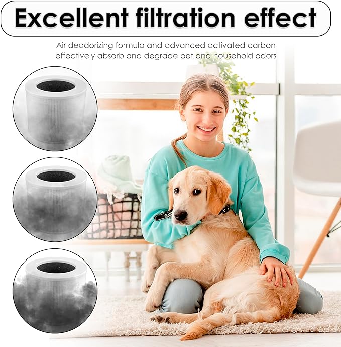 2 Pack Core Mini Replacement Filter Compatible with LEVOIT Core Mini Air Purifier, CoreMini H13 True Hepa Filter, 3-in-1 HEPA Filter, Activated Carbon Filters, Compared to Part # Core Mini-RF
