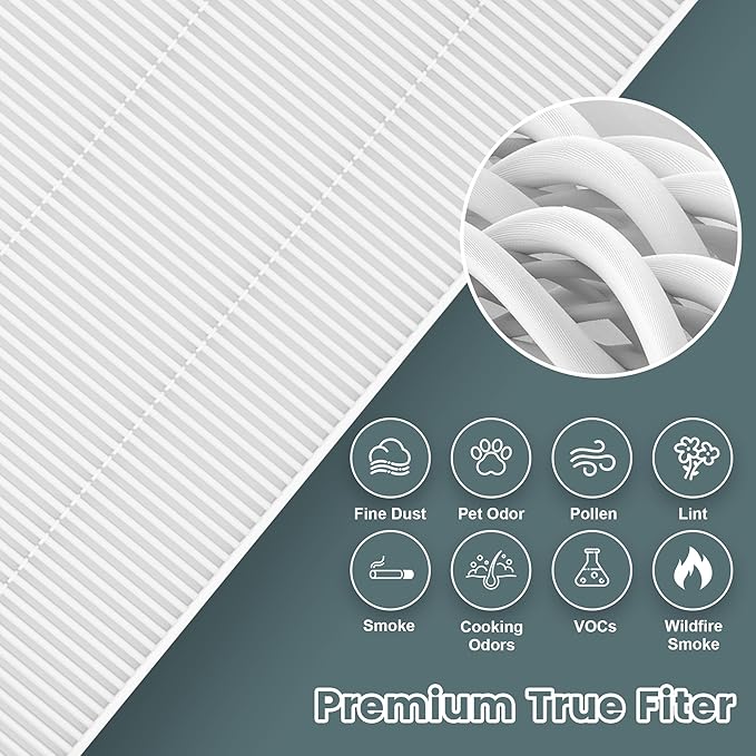 HPA300 HEPA Filter Replacement for Honeywell HPA300 Series Air Purifiers, HPA300, HPA304, HPA300VP, HPA3300b, Replace HRF-R3(6 Ture HEPA R Replacement Filter + 8 Activated Carbon Pre-Filter)