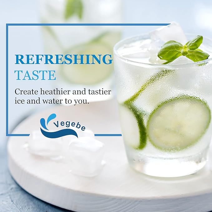 Inline Water Filter for Ice Maker, Refrigerator, Under-Sink Reverse Osmosis Water System, Post Activated Carbon Water Filter Replacement Cartridge with 1/4-Inch Quick-Connect (Pack of 2)