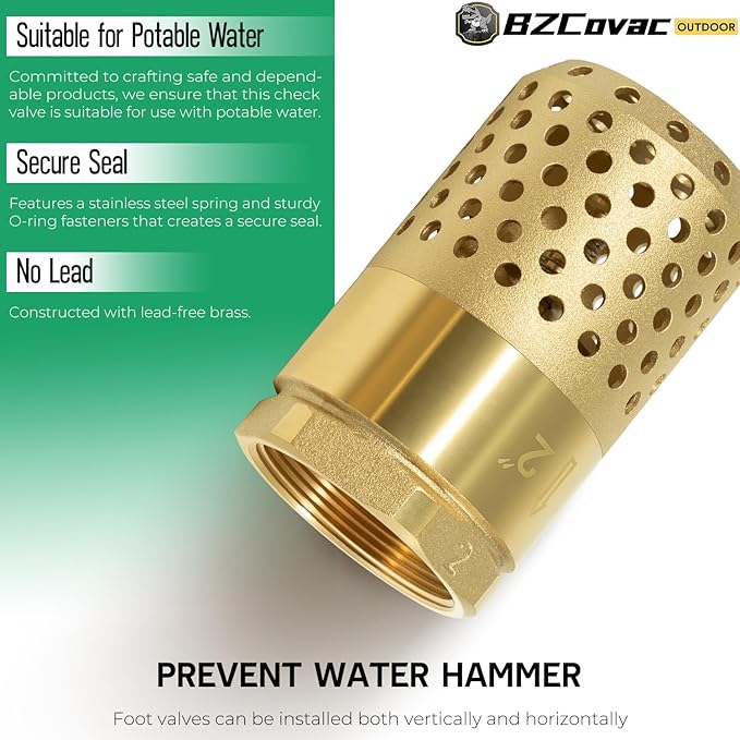 2-Inch Brass Foot Valve with Mesh Strainer, Universal One-Way Female NPT Check Valve with Backflow Prevention, Lead-Free Brass Construction for Irrigation and Water Pump Systems